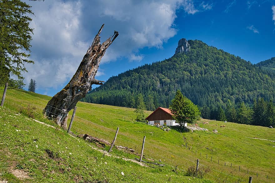 πεδίο, εξοχικό σπίτι, καμπίνα, δέντρα, καλύβα, βουνό, λιβάδι, βοσκή, αλπική καλύβα, τοπίο, στην κορυφή της Βαυαρίας