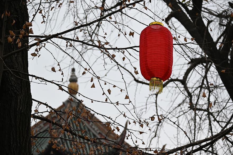 Lantern, Festival, Decoration, Traditional