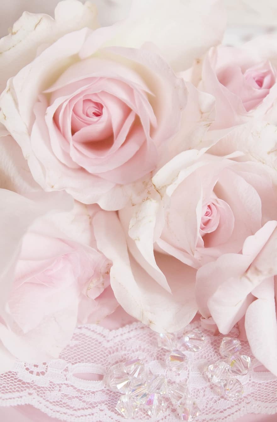 zabytkowe, różowy, róże, romantyk, figlarny, Chatka, różowe róże, nostalgiczny