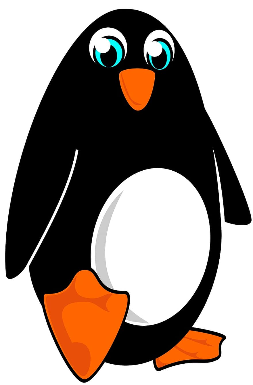 pingvin, Arktiska Antarktis, polär, kall, djur-, natur, vild, Pol, söt, vilda djur och växter, vinter-