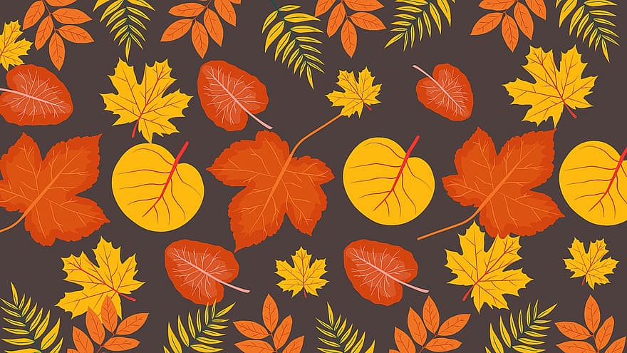 achtergrond, bladeren, herfst, vallen, behang, Roest, geel, gebladerte, natuur, patroon