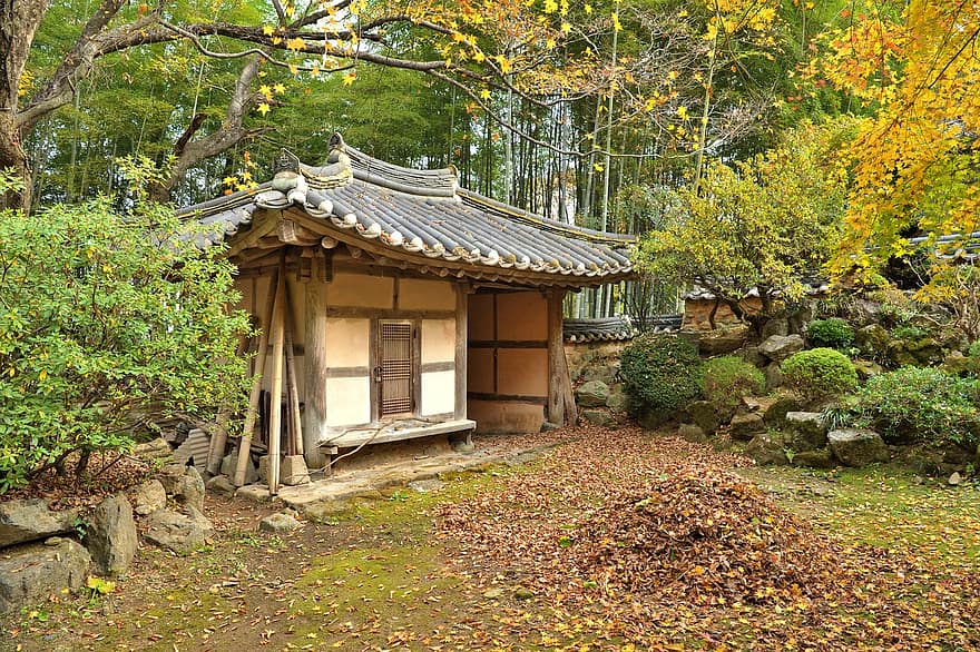 Hanok, dom, Korea, tradycyjny, jesień, pora roku