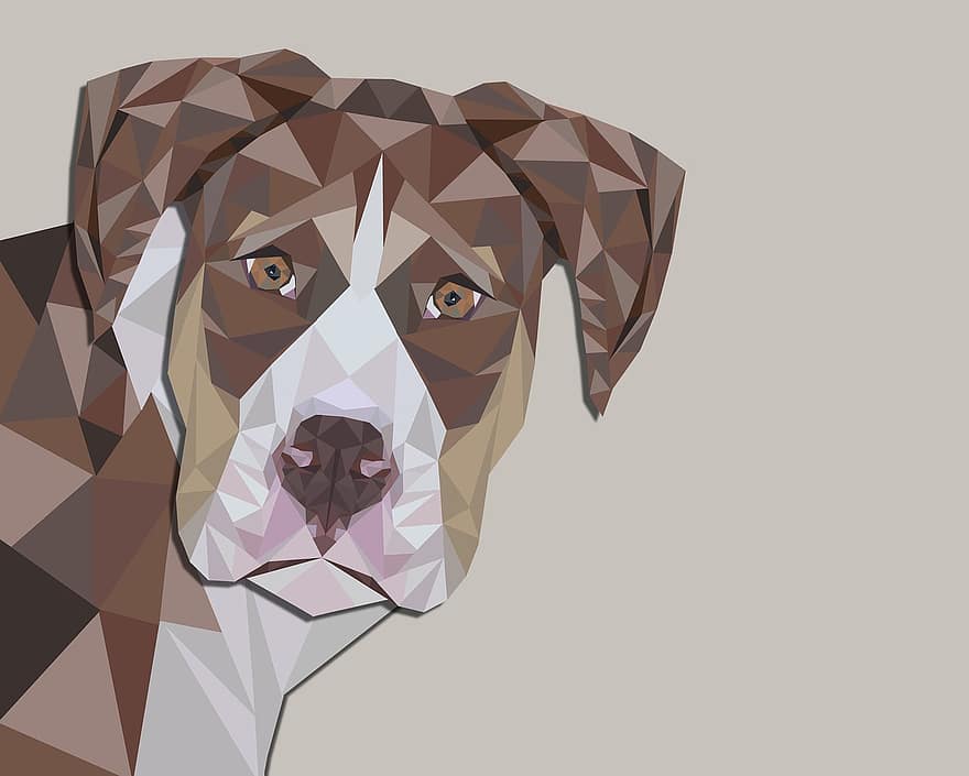 Hund, geometrisch, Tier, Eckzahn, Haustier, Design, süß, abstrakt, Kunst, brauner Hund