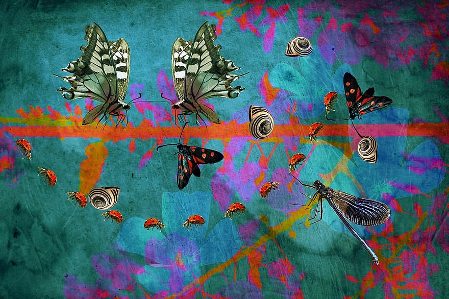 蝶々、てんとう虫、翼、カタツムリ、トンボ、虫