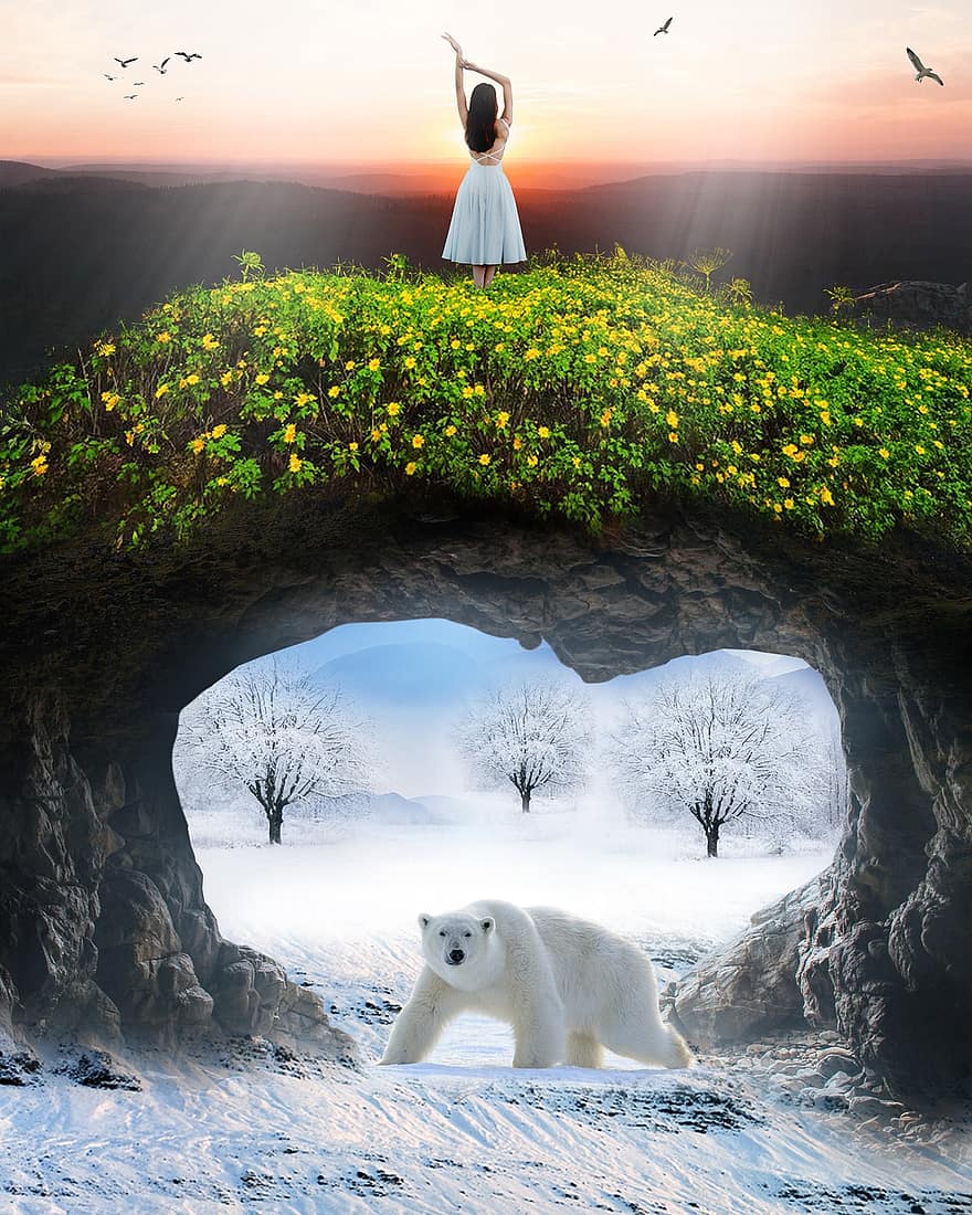 หญิง, หมีขั้วโลก, ธรรมชาติ, สาว, สวน, ดอกไม้, หิมะ, ฤดูหนาว, หมี, ภูมิประเทศ, พระอาทิตย์ตกดิน
