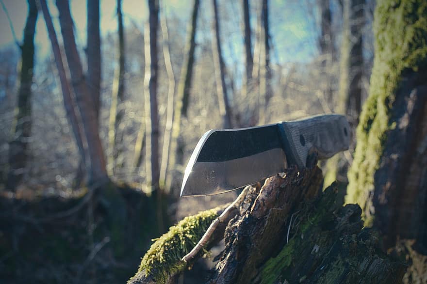 herramienta, cuchillo, cortar, agudo, espada, bosque, salvaje, árbol, equipo, rama, acero