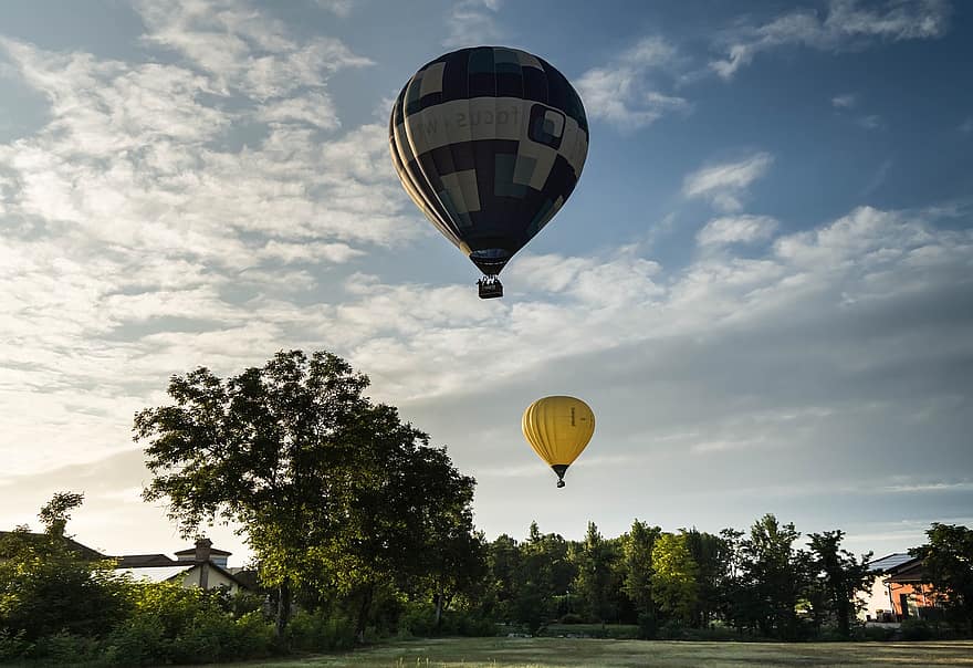 gaisa balons, koki, lidojums, ielejā, raksturs, dom