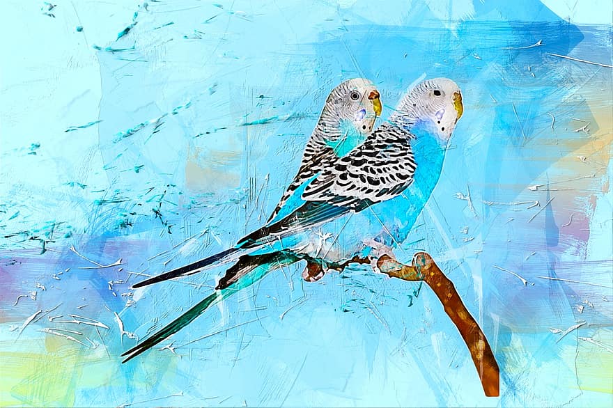 fugl, papegøye, dyr, Kunst, abstrakt, vannfarge, årgang, natur, kunstnerisk, design, Aquarelle