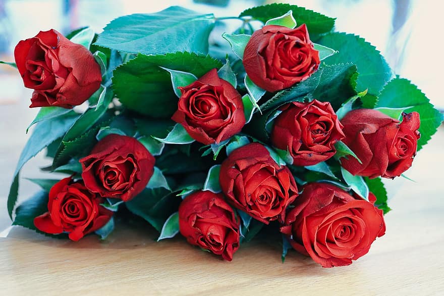 rožės, rosenkavalier, Valentino diena, deco, puokštė, romantiškas, meilė, širdis, fonas, Ačiū, ryšys