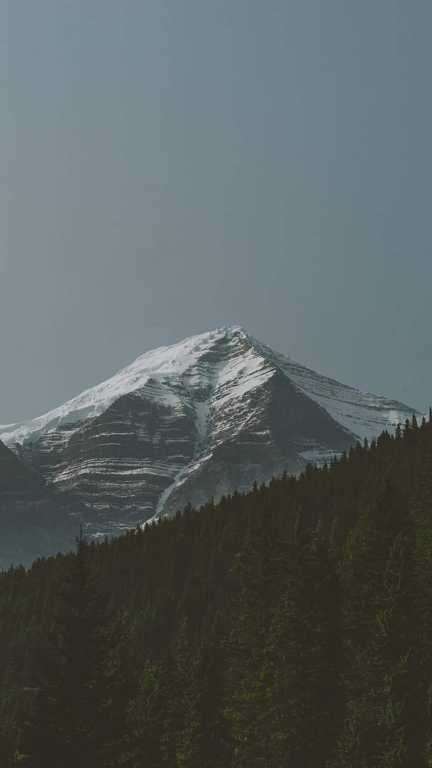 kalns, mežs, virsotne, augstākā līmeņa sanāksmē, sniegs, ainavu, laukos, dekorācijas, raksturs, Mount Robson, banff