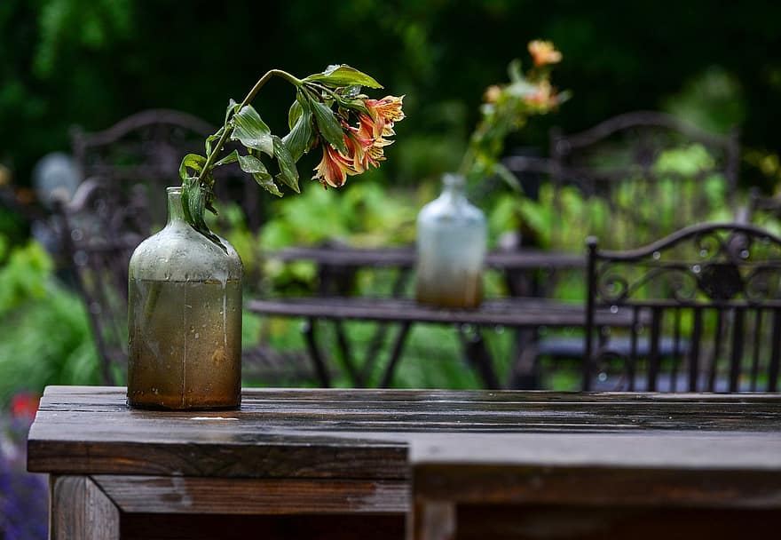 bunga, vas bunga, meja, kursi, menanam, dekorasi, restoran, keahlian memasak, di luar rumah