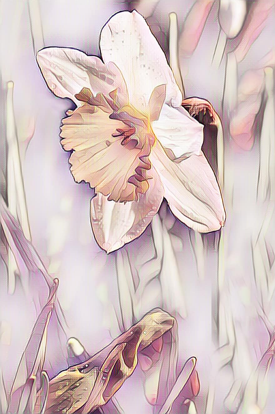Narcissus, påskelilje, digital maleri, vår, pastell, vårblomst, harbinger av våren