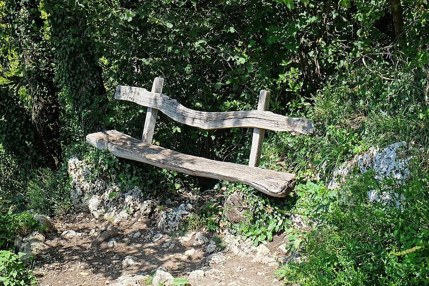 пейка, седалка, природа, на открито, гледна точка, дървена пейка, екскурзия, почивка, сядане, дърво, гора