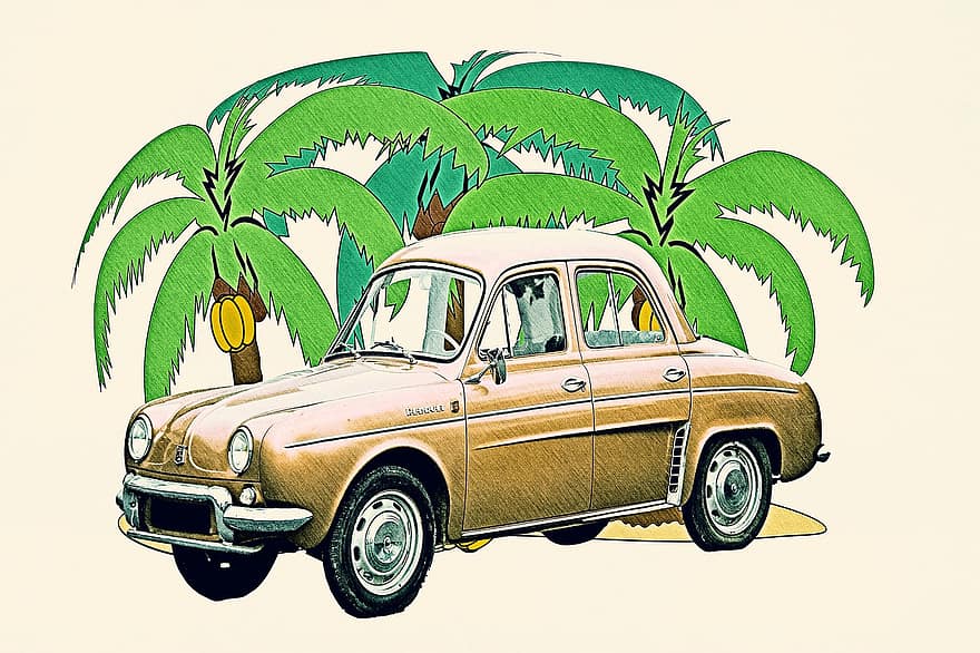 antikvariāts, Renault Dauphine, franču auto, transportlīdzekli, zīmējums, palmas, četru riteņu