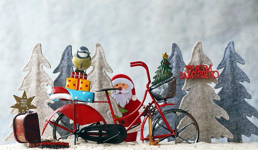 Коледа, коледна украса, син тит, птица, сладък, зима, украса, сезон, празненство, сняг, подарък