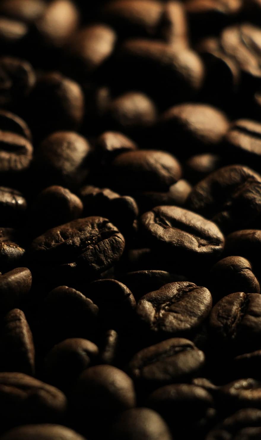 кавові зерна, кофеїн, кава, насіння, чорний, пити, впритул, фони, темний, квасоля, макрос