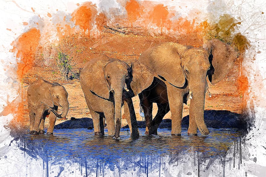 Elephants, Animal, Art, Abstract, Watercolor, Vintage, Nature, T-shirt, Artistic, Design, Aquarelle