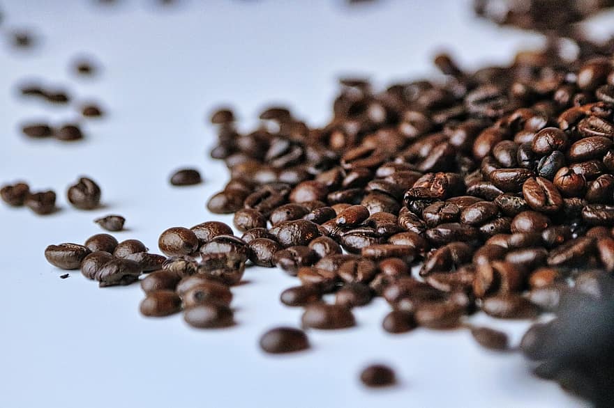 kávébab, robusta, sült, aroma, fekete kávé, kávé, elszórt, asztal, koffein, magok, hozzávaló