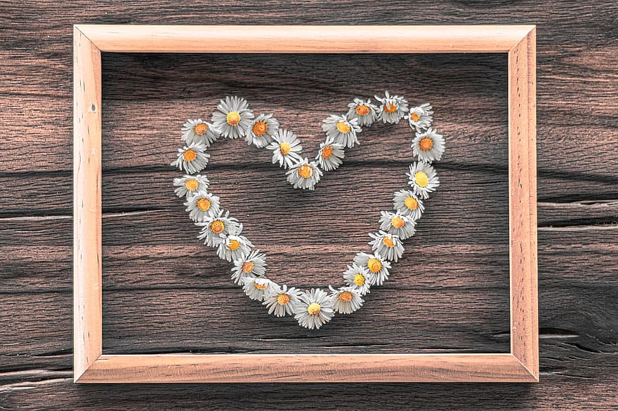 hjerte, daisy, kærlighed, Valentins Dag, bryllup, blomstre, flor, træ, blomst, hjerte form, romantik