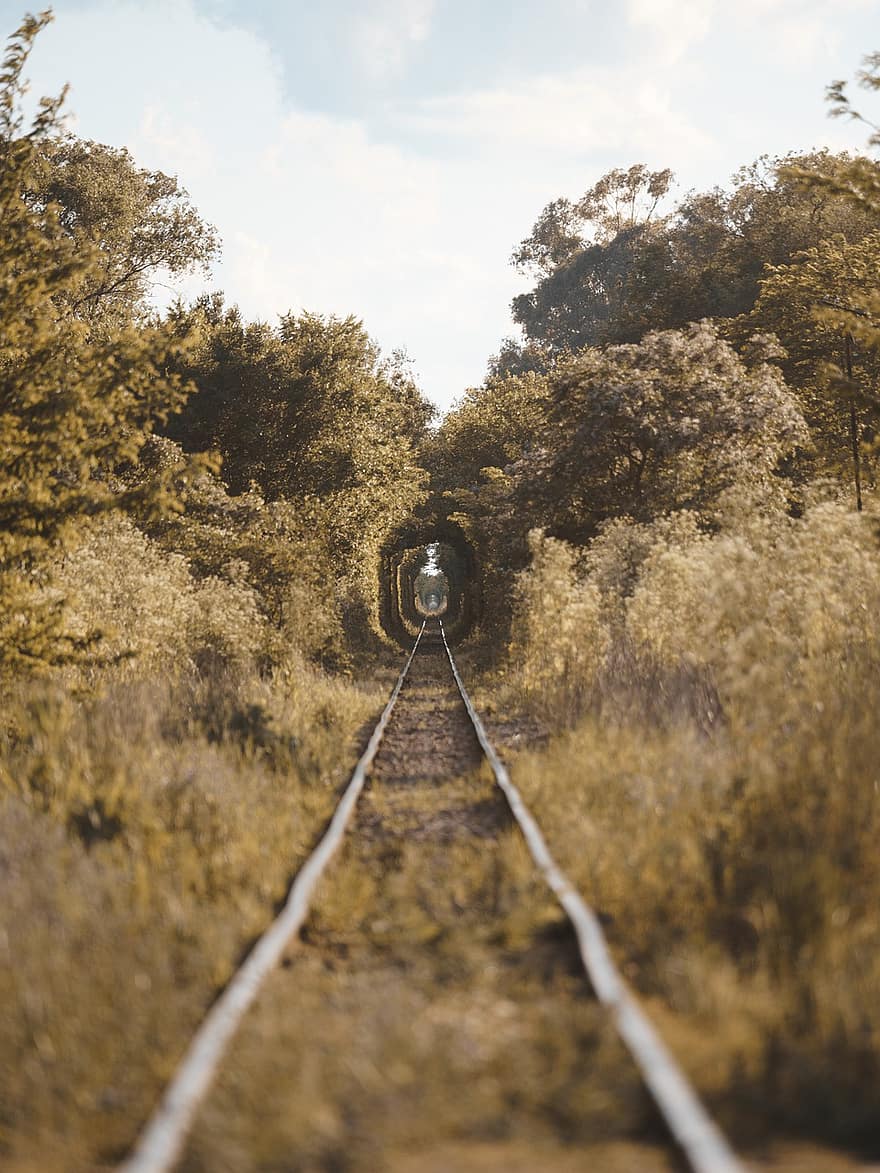 pociąg, tory kolejowe, tunel, ścieżka pociągu, Natura, las, kochanie, transport, krajobraz, drzewo, scena wiejska