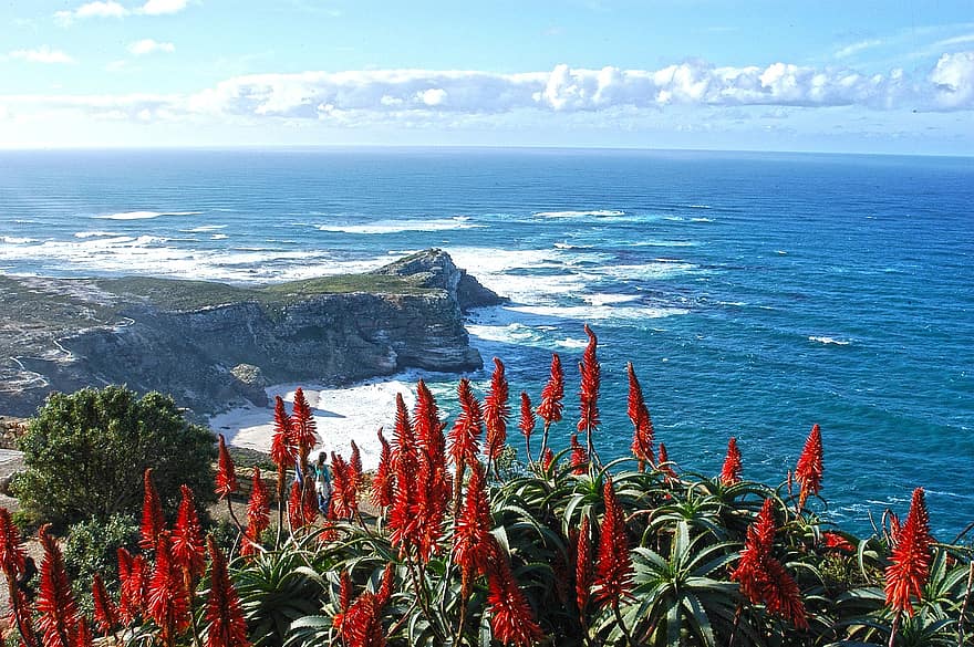 deniz, doğa, seyahat, keşif, açık havada, okyanus, plaj, hedef, cennet, Cape Town, kıyı şeridi