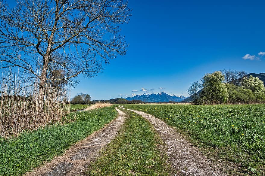ścieżka, droga polna, drzewa, chiemgau, góry, łąka, przestrzeń, Natura, wiosna, scena wiejska, trawa
