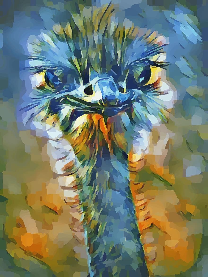 Ostrich, Painting, Animal, Bird, Color, Emu, Wild, Cute, Drawing, Nature, Cartoon