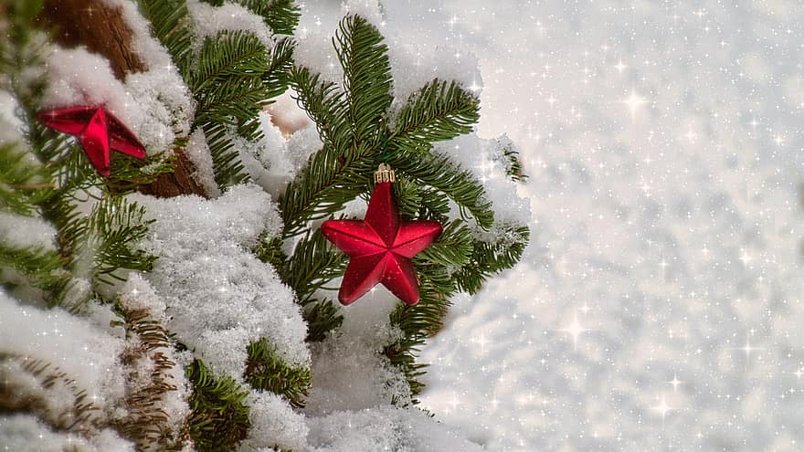 Karácsony, dekoráció, karácsony, Karácsonyi dekoráció, hó, fenyőfa, csillag, karácsonyi üdvözlés