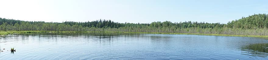 Lake, Forest, Panorama, Nature, Pond, Reflection, Water, Trees, Woods, Scenery