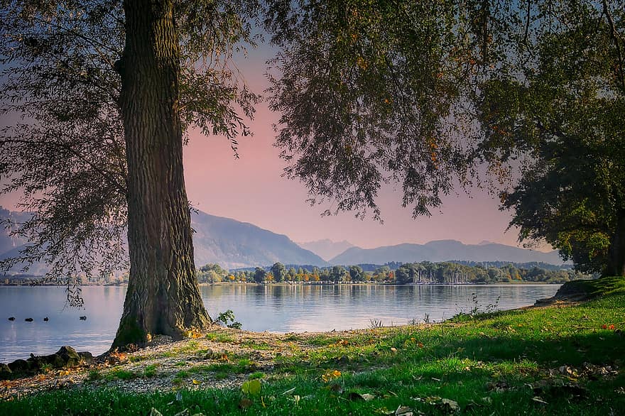Lake, Bank, Grass, Sunset, Meadow, Tree, Mountains, Reflection, Water, Alpine, Alps