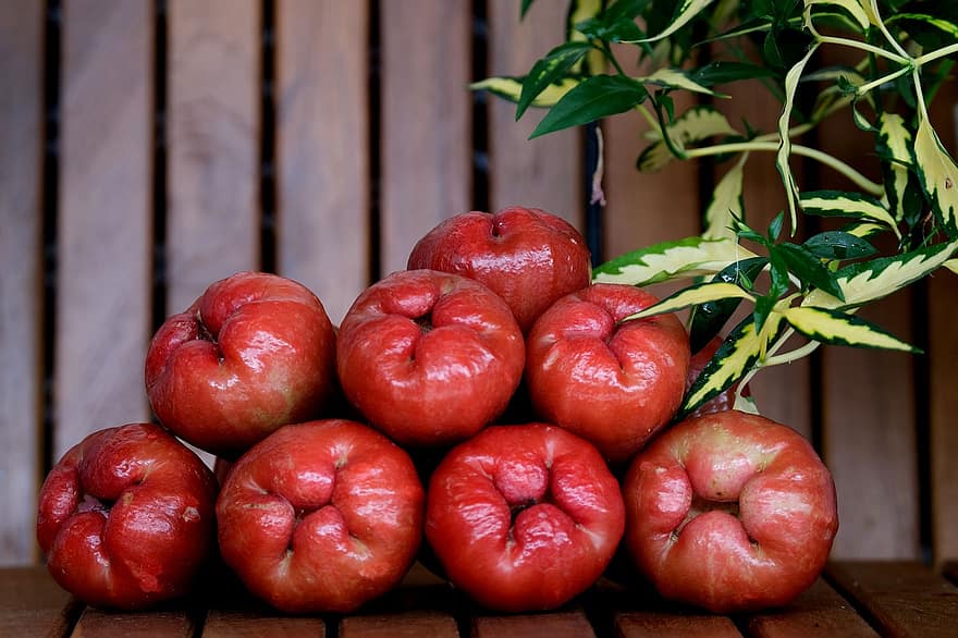 मोम सेब, फल, खाना, ताज़ा, स्वस्थ, परिपक्व, कार्बनिक, मिठाई