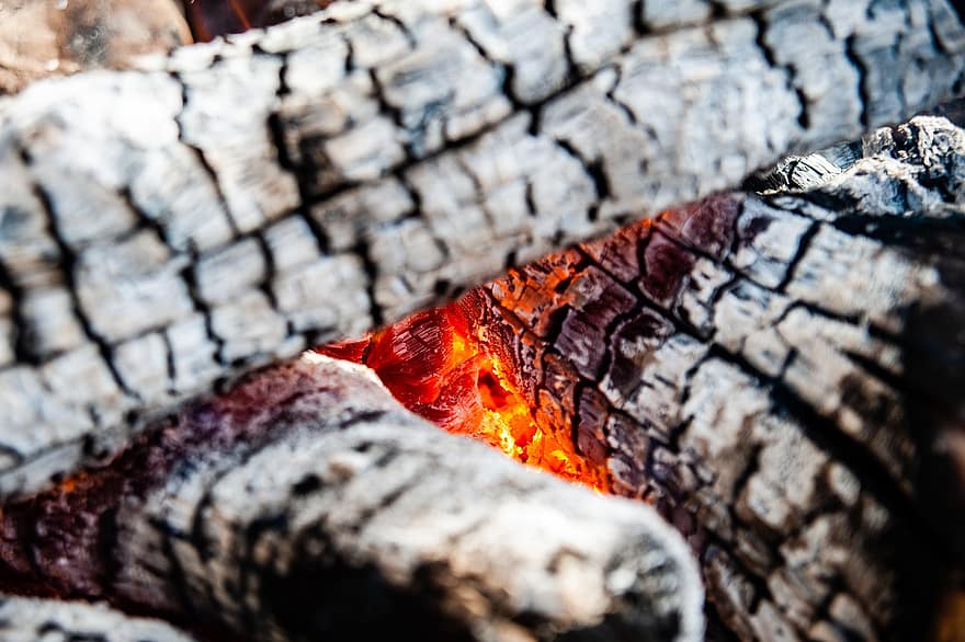 Пожар, дрова, ясень, высокая температура, тепло, дерево, костер, сожжен, сжигание, жечь, тлеющие угли