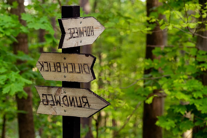 placa, direção, Aviso, madeira, floresta, arvores, caminhadas na montanha, natureza