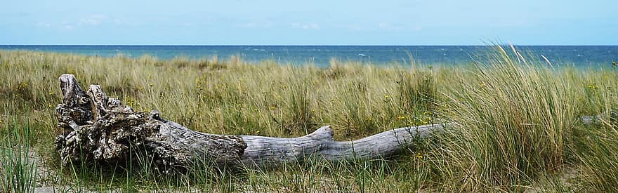 dunas de arena, arena, madera, hierba de la playa, playa, mar, lago, mar Báltico, verano, hierba, azul