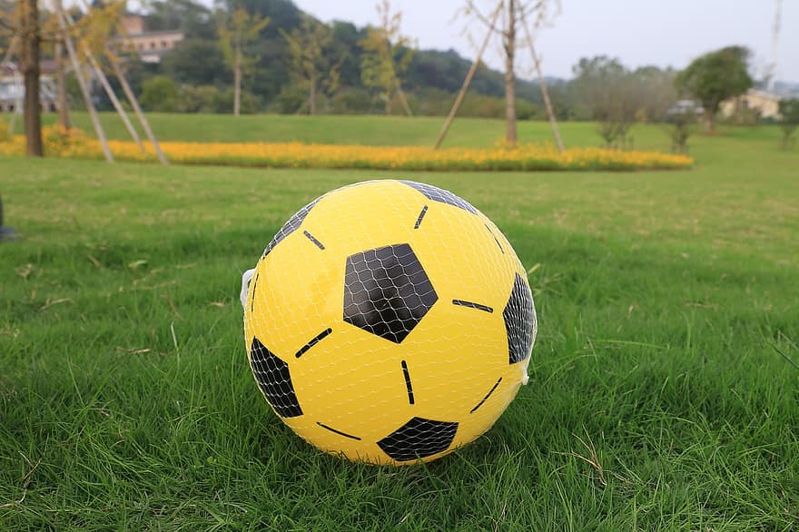 мяч, игрушка, сеть, трава, поле, футбольный мяч, играть, игра, спорт