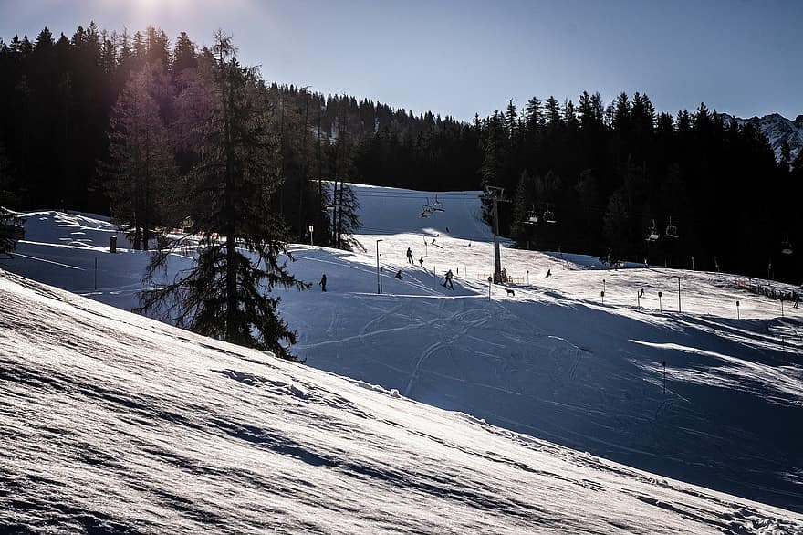 lereng ski, ski, salju, keberangkatan, alam, musim dingin, gunung, olahraga, hutan, pemandangan, bermain ski