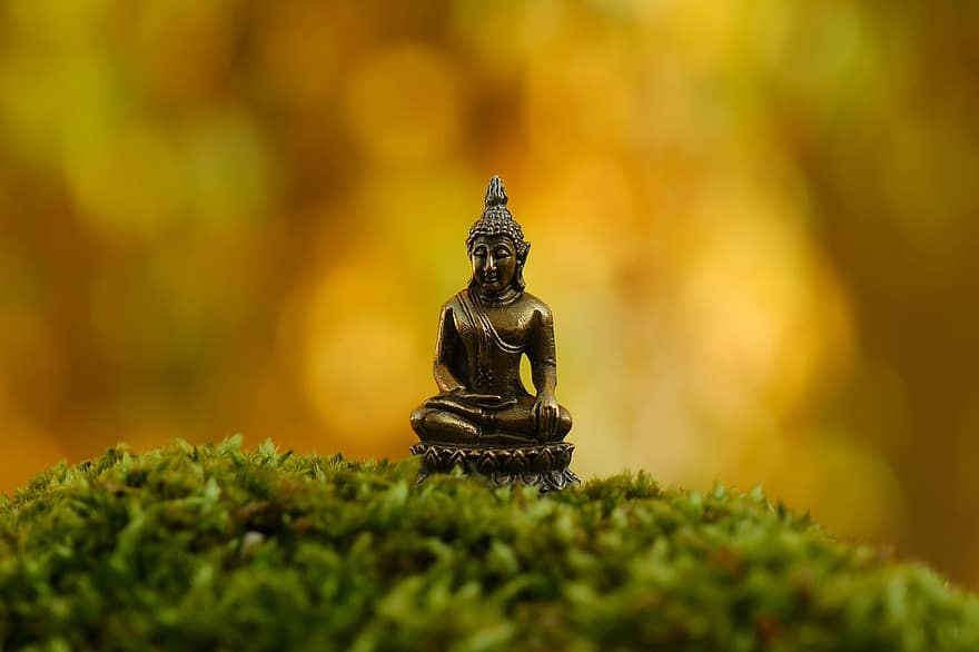 buddhan patsas, hindulaisuus, uskonto, hengellisyys, patsas, buddhalaisuus, meditoi, vihreä väri, pieni, veistos, puun lehti