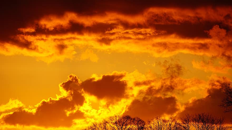 nebe, západ slunce, siluety stromů, mraky, soumrak, oranžové nebe, skyscape, scéna s oblaky, oranžový