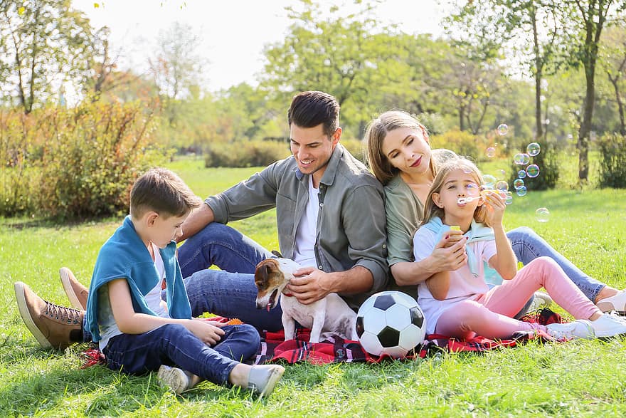 familie, portræt, uden for, far, søn, mor, datter, hund, smilende, parkere, picnic