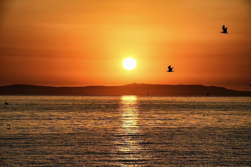 Sunset, Sun, Nature, Sea, Sunlight, Reflection, Galicia, Seagulls, Birds, Flying Birds