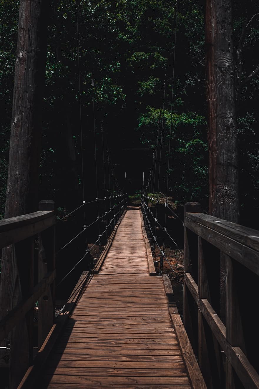 Bridge, Wooden, Crossing, Pathway, Trees, River, Woods