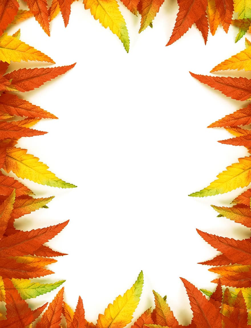 Frame, Leaves, Leaf, Picture Frame, Stationery, Autumn