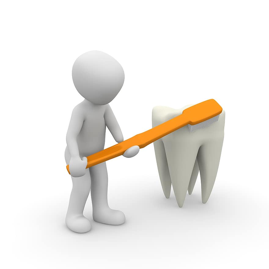 dent, dentista, primer pla, cura del cos, netejar, zahntechnik, tractament reeixit, dents