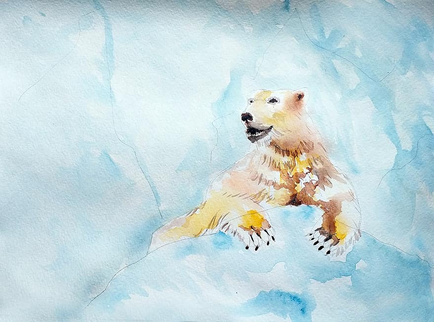 White Bear, Polar Bear, North Pole, Russia, Greenland, Arctic, Canada, Alaska, Norway, Zoo, Predator
