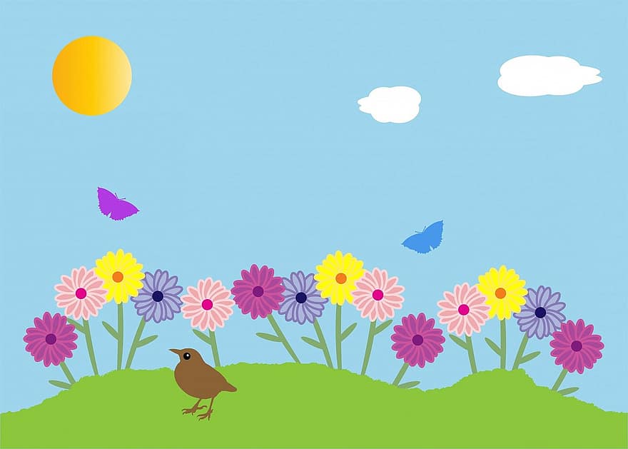 musim panas, taman, sinar matahari, bunga, bunga-bunga, penuh warna, indah, burung, kupu-kupu, hijau, rumput