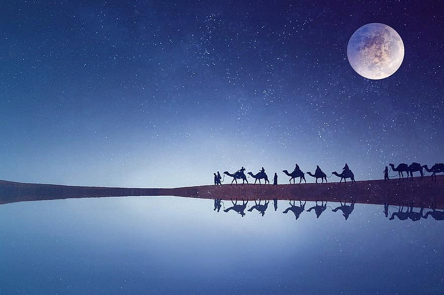 los beduinos, Desierto, caravana, camellos, viaje, estrellas, noche, cielo nocturno, cielo, cielo estrellado, noche estrellada