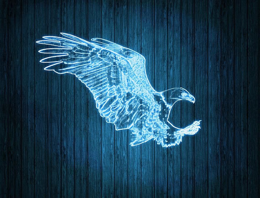 águila, neón, ligero, brillar, azul, presa, pájaro, raptor, animal, naturaleza, plumaje