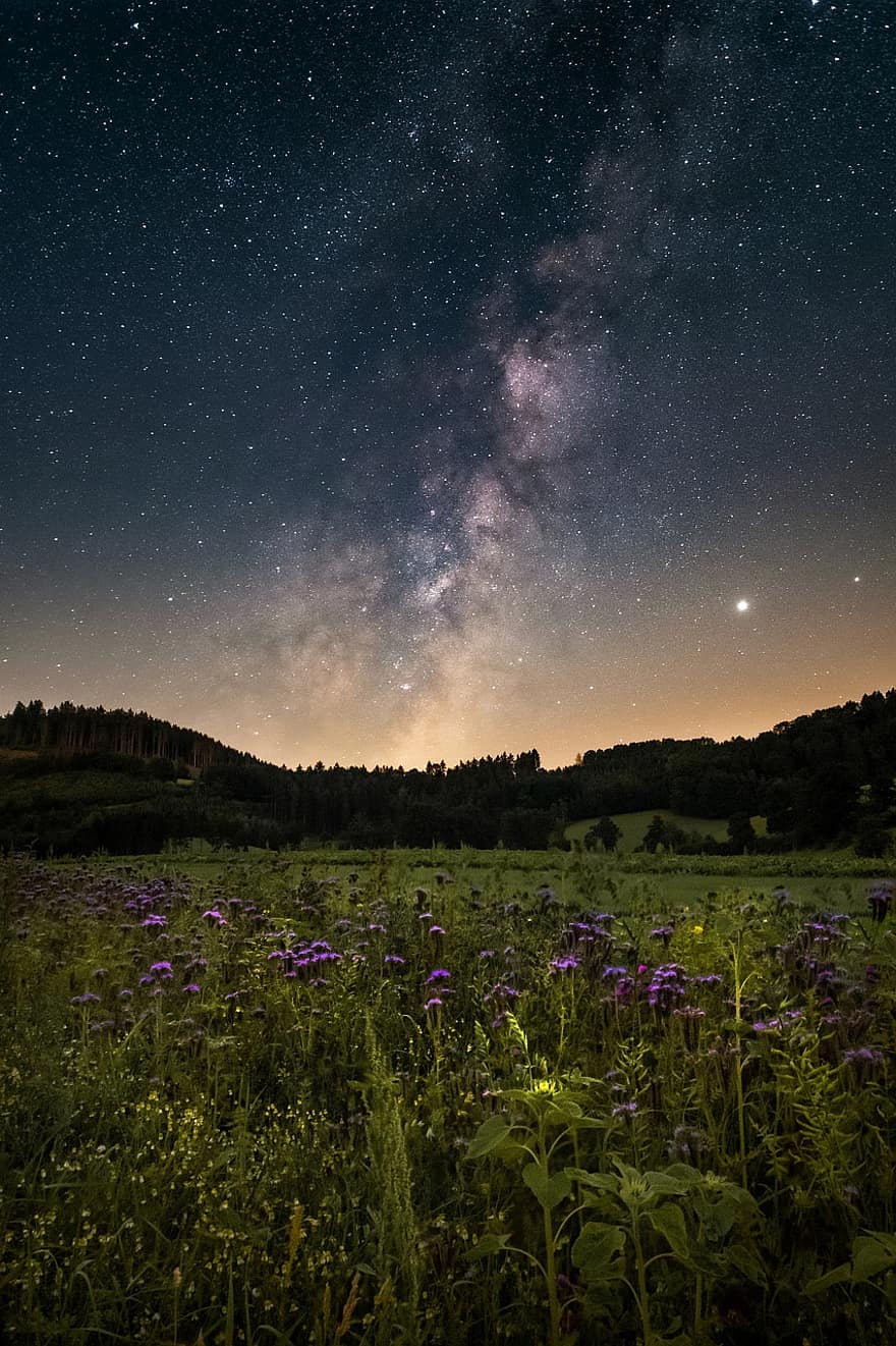 zvaigžņotas debesis, ziedu pļava, naktī, piena ceļš, ainavu, Visumu, ziedi, pļava, galaktika, astronomija, telpa