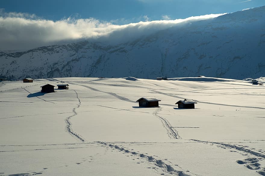 zăpadă, urme, cabine, munţi, ceaţă