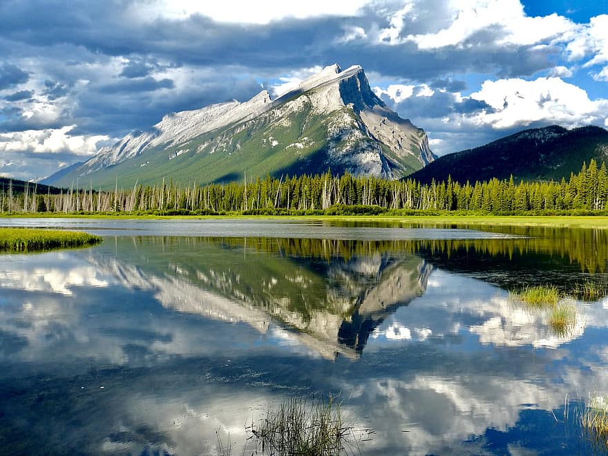 kalnas, ežeras, miškas, pobūdį, uolėtas, atspindys, kraštovaizdį, Kanada, vaizdingas, medžiai, alberta